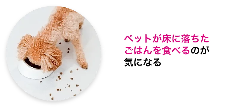 ペットが床に落ちたごはんを食べるのが気になる